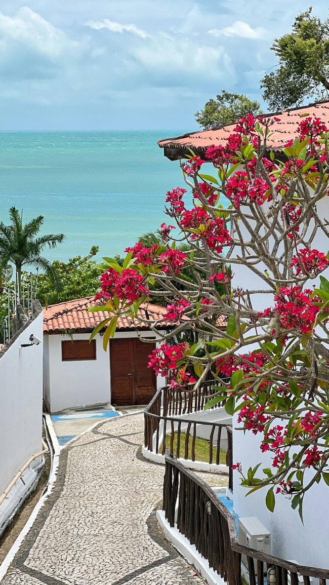 CUPO EXCLUSIVO NATAL HOTEL VOGAL 5★